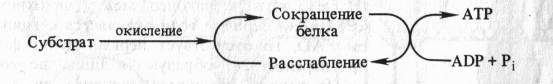 бд